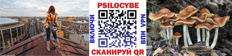 купить наркоту Иркутск Галлюциногенные грибы прущие грибы
