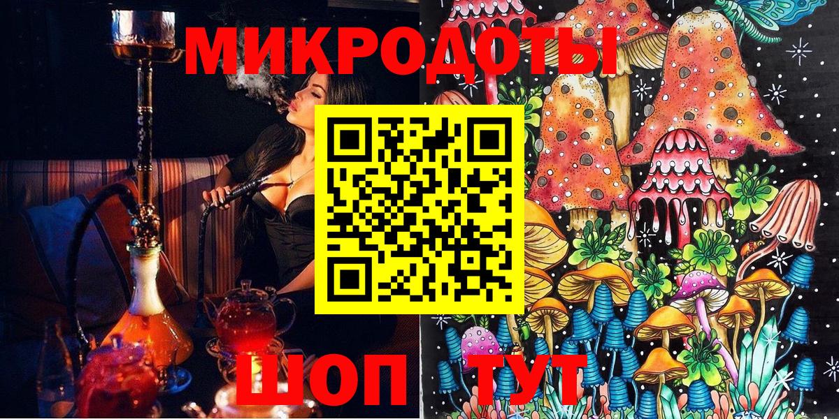 Псилоцибиновые грибы Psilocybe  Вход с VPN  Иркутск  цены наркотик  Галлюциногенные грибы Psilocybe 