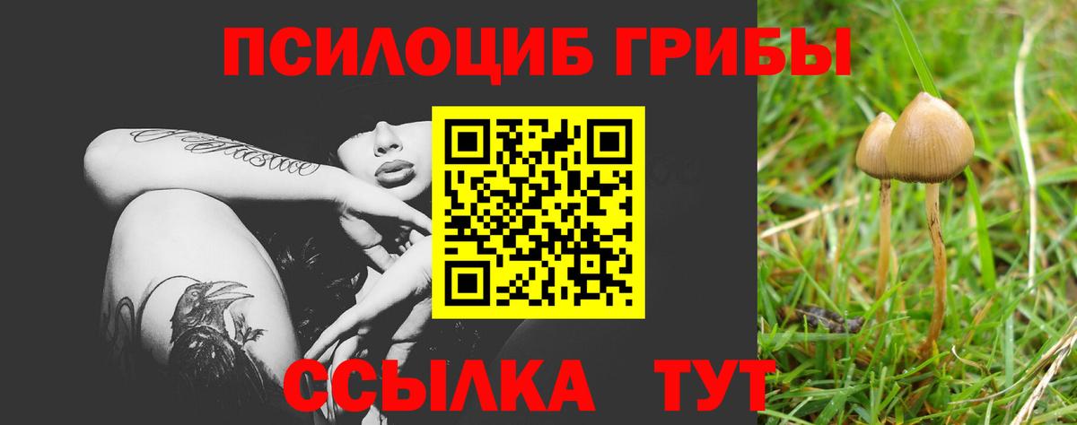 Галлюциногенные грибы мицелий Иркутск